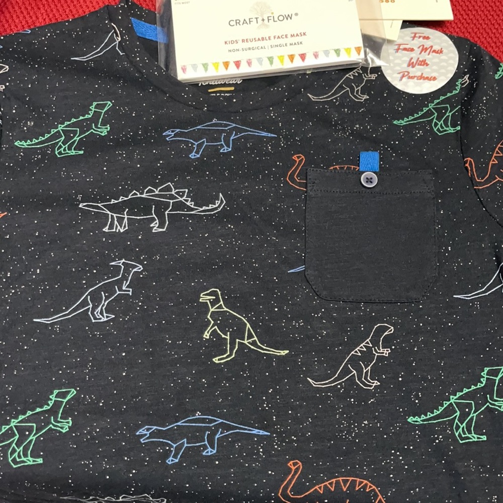 Craft + Flow Dinosaur Short Sleeve T-Shirt (Size 5 - Medium)